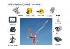 Remote safety monitoring system for tower crane